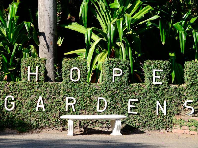 The Hope Royal Botanic Gardens Jamaica Honorary Consulate Of